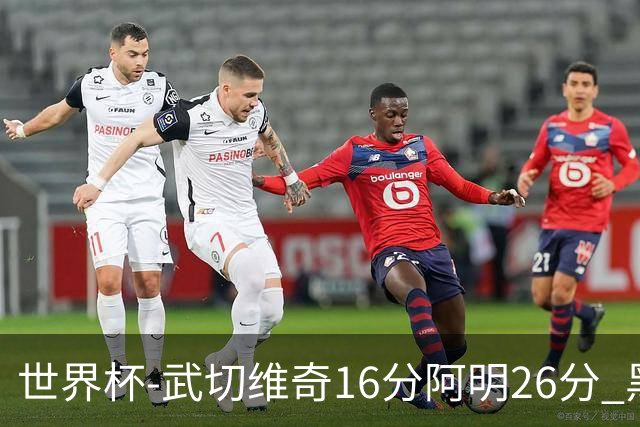 世界杯-武切维奇16分阿明26分 黑山大胜埃及