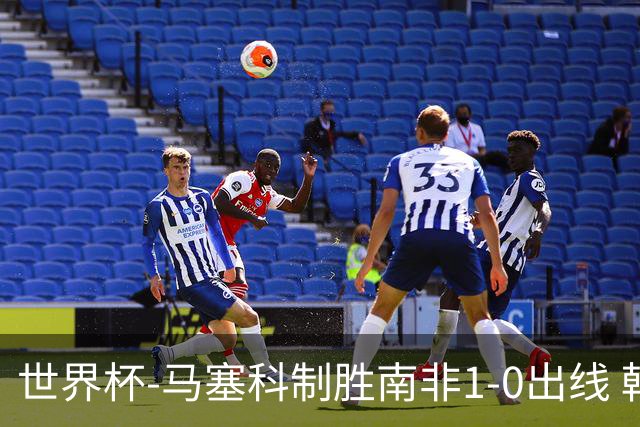 世界杯-马塞科制胜南非1-0出线 韩国积3分获小组第三待定