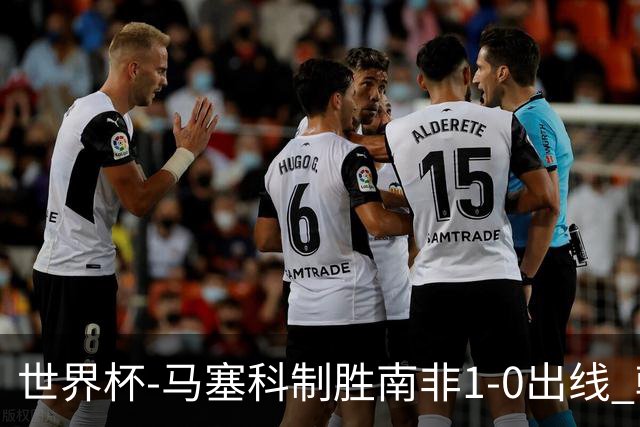 世界杯-马塞科制胜南非1-0出线 韩国积3分获小组第三待定